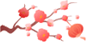 DƬ