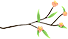 DƬ