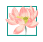 DƬ